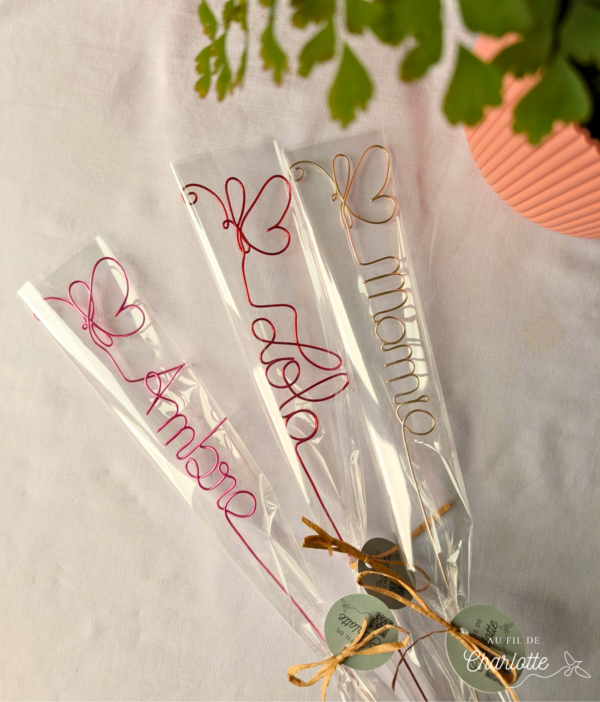 Fleurs papillon en fil de fer